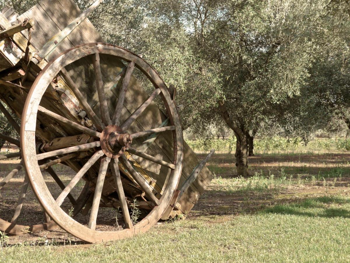 Tenuta Masseria & Spa Chicco Rizzo Sternatia Eksteriør billede