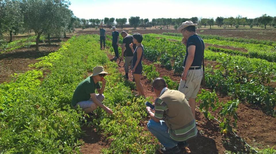 Tenuta Masseria & Spa Chicco Rizzo Sternatia Eksteriør billede